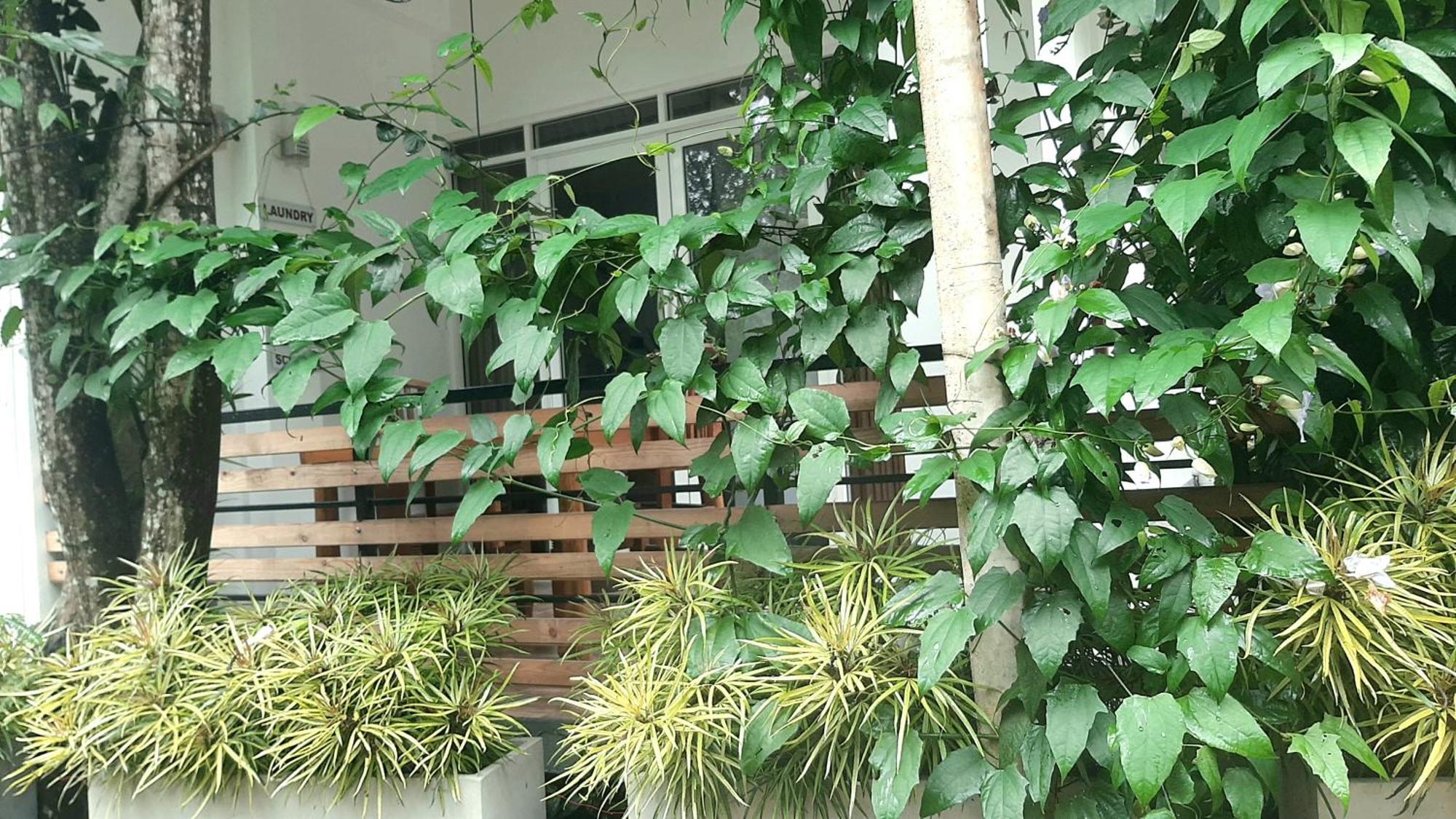 Dhanudi Homestay Ella Eksteriør bilde